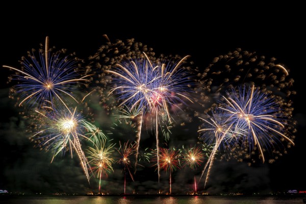 Real Fireworks display celebration, Colorful New Year Firework