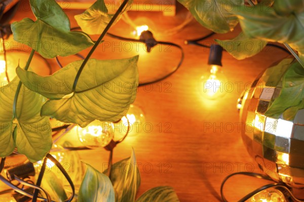 Wooden background with garland lamps and green leaves of a home potted plant and a glowing ball. Frame with a Christmas plant