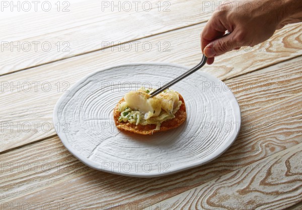 Fish with mayonnaise and parsley on crunchy tortilla molecurar gastronomy