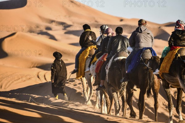 Group of people riding horses in desert