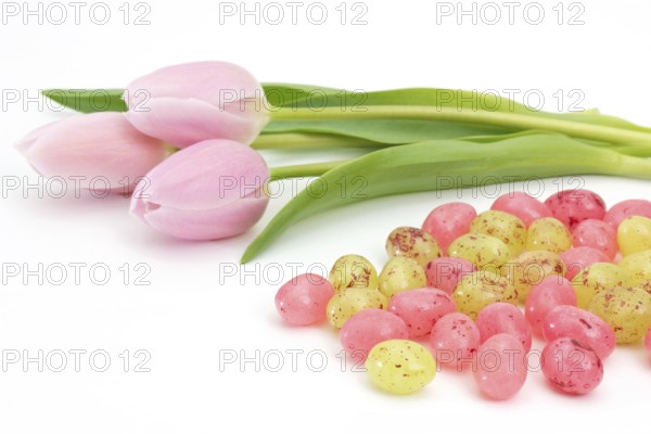 Jelly Easter eggs near pink tulips on white background Jelly Easter eggs near pink tulips on white background