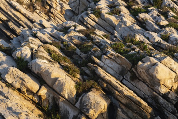 Beautiful schist cliff details in Baleal island at sunset in Peniche, Portugal