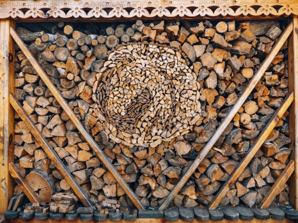 Logs of a tree. The sawn wood. The texture of the sawn wood