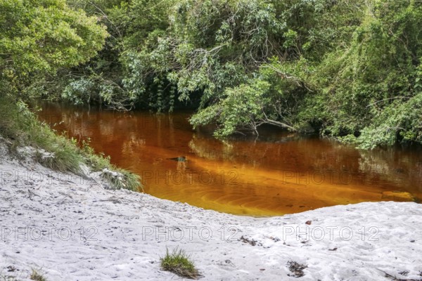 Idyllic view of an orange colored creek with sandy beach and green forest, Caraca Natural Park, Minas Gerais, Brazil