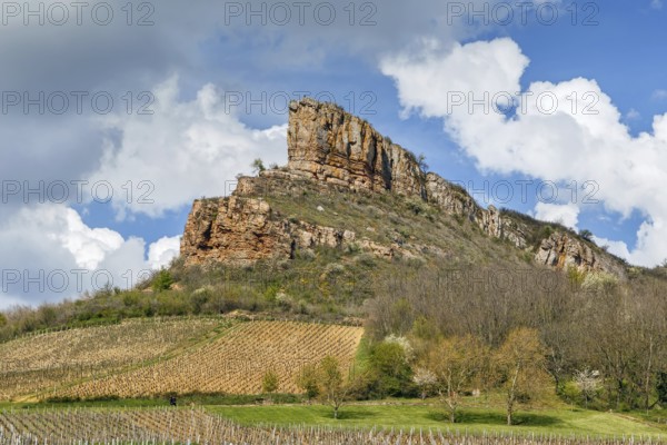 Rock of Solutre (French: Roche de Solutre), is a limestone slope 8 km west of Macon, France