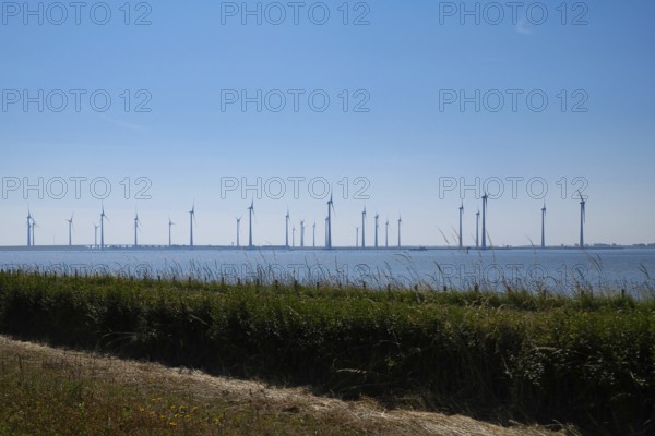 Wind turbines for environmentally friendly power generation on the North Sea, Netherlands