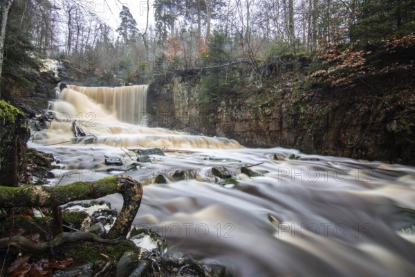 Landscape shot of a large waterfall in a spruce and birch forest and in nature. Autumn landscape with a river becoming the Byklevsfallet waterfall. Vänersborg, Sweden, Scandinavia