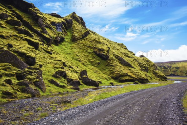 The summer blossoming Iceland. Canyon Pakgil - green grass and moss on fantastic rocks. On canyon there is dirt road
