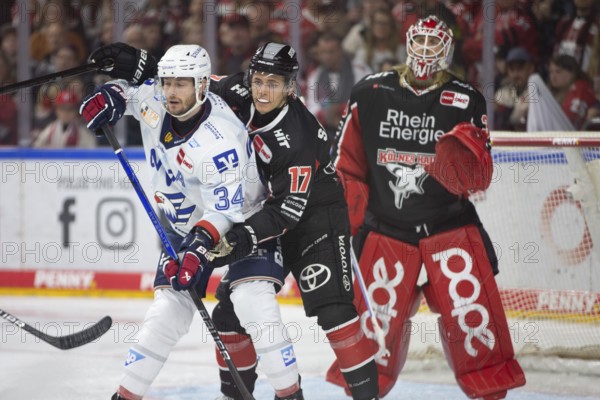 LanxessArena, Cologne, North Rhine-Westphalia, Jan-Luca Sennehnn (Cologne Sharks, #17), Tom Kühnhackl (Adler Mannheim, #34), PENNY DEL, Cologne Sharks - Adler Mannheim on 22/09/2024 at the LanxessArena in Cologne Germany