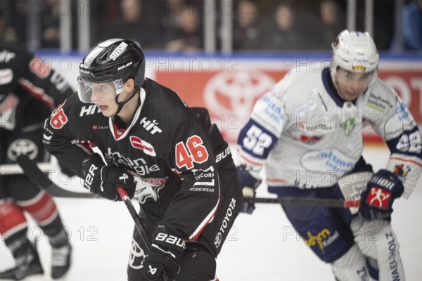 Cologne, LanxessArena, North Rhine-Westphalia, Kevin Niedenz (Cologne Sharks, #46), PENNY DEL, Cologne Sharks- Iserlohn Roosters on 19/01/2025 at the LanxessArena in Cologne Germany
