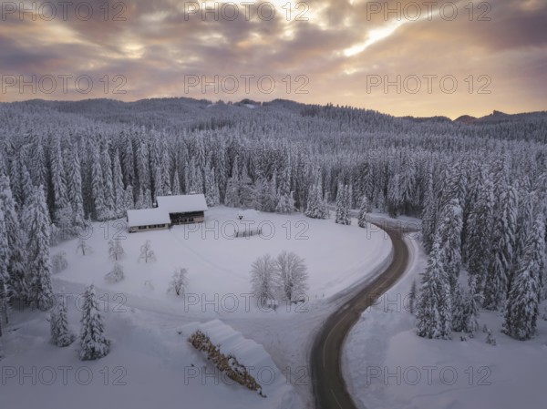Snow covered winter forest landscape aerial view with pines and mountains in the background. Cold morning sunrise with alpenglow