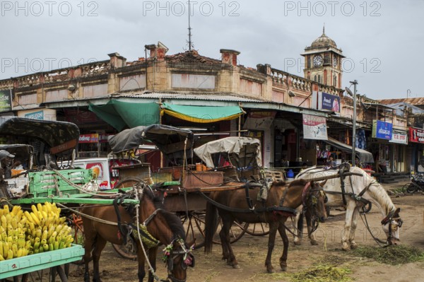 Tonga stand at Laxmi Market, Miraj, Maharashtra, India, Asia