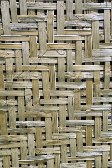 Bamboo strips wall, Pune, Maharashtra, India, Asia