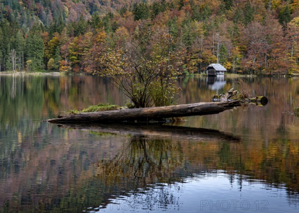 Hinterer Langbathsee with hut