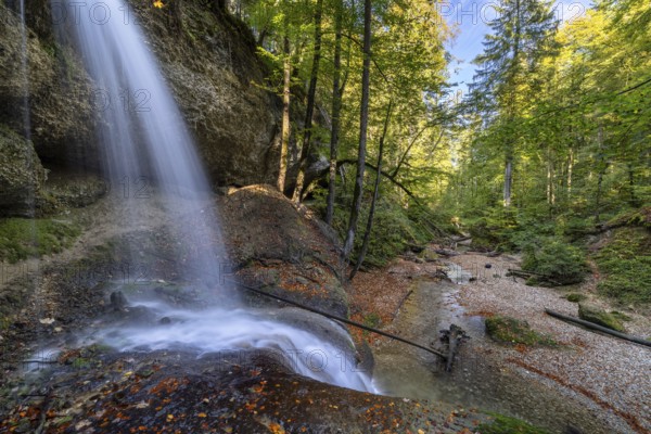 Tranquil waterfall flowing through a moss-covered forest with colourful autumn leaves, Hasenreuter Wasserfall, Scheidegg, Bavaria, Germany