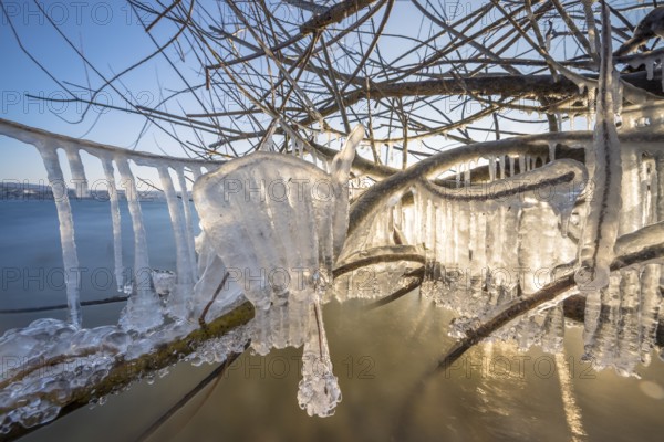 Branches with shimmering icicles over the lake, Niederzell, Reichenau, Lake Constance, Baden-Württemberg, Germany