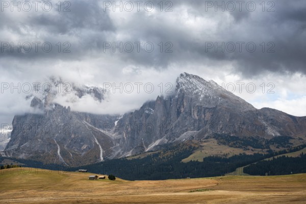 Landscape with beautiful autumn meadow field and the amazing Dolomite rocky peaks the valley of Alpe di siusi Seiser Alm South Tyrol in Italy