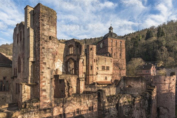 Heidelberg Castle, west side, view from the Stückgarten, Heidelberg, Baden-Württemberg, Germany