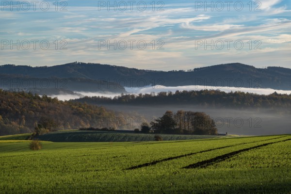 A hilly landscape shrouded in morning mist with green fields and forests in autumn light, Ottensteiner Hochebene, Weserbergland, Lower Saxony, Germany