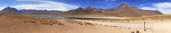 Laguna Miscanti in the Atacama Desert in Chile