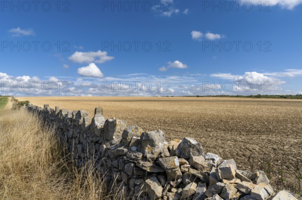 Traditional stone wall separates acres and farm fields on the Monknash Coast of South Wales, United Kingdom