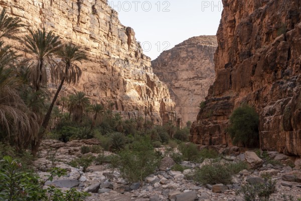 Hiking through the iconic Amtoudi canyon in the Anti-Atlas, Morocco