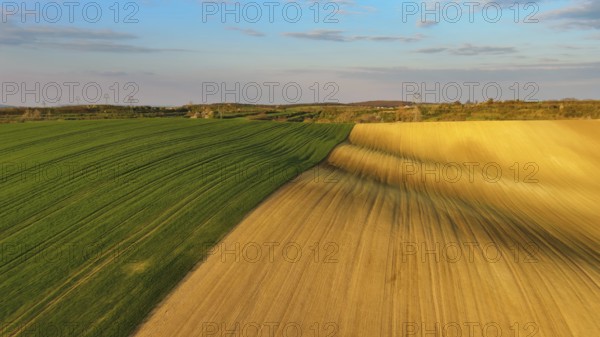 Aerial view of amazing green wavy hills with agricultural fields in evening spring. South Moravia region, Czech Republic