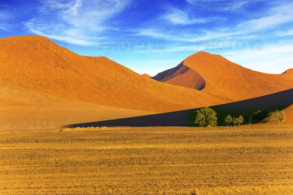 Sunset in the desert. Namibia, South Africa. Orange and yellow dunes of the Namib desert. The concept of extreme and exotic tourism