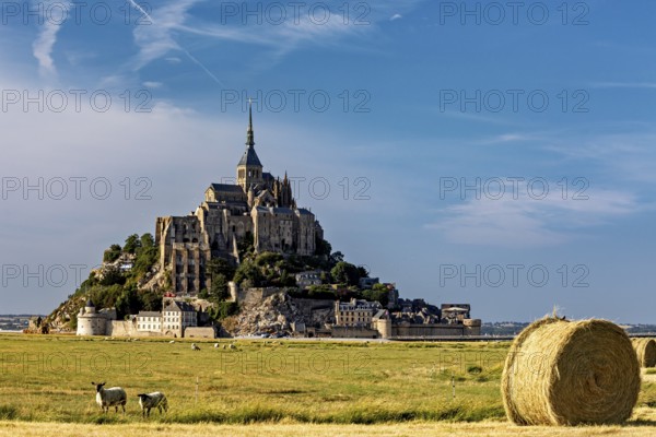 Mont Saint-Michel in a field with cows and bales of straw under a blue sky, Mont Saint Michel in Normandy, France