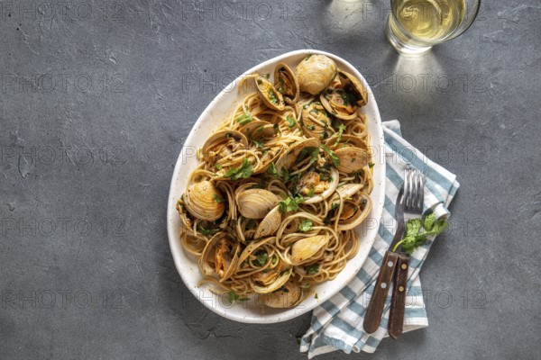 Food, Food, Seafood Pasta. ITALIAN SPAGHETTI ALLE VONGOLE. Clams spaghetti on white plate with white wine, gray background. Top view