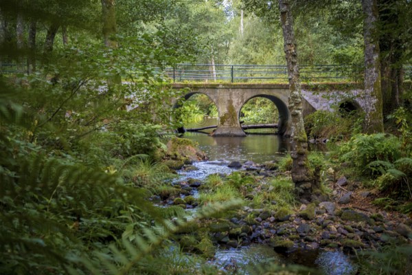 Bridge over the river Rego de Mera on the hiking trail Ruta Dos Muinos, near Lugo in Galicia, Spain. Alternative route for Camino Primitivo