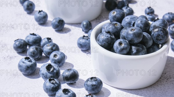 Fresh blueberries background with copy space. Blueberry antioxidant organic superfood in bowls concept for healthy eating and nutrition. Harvesting concept. Vegan Vegetarian