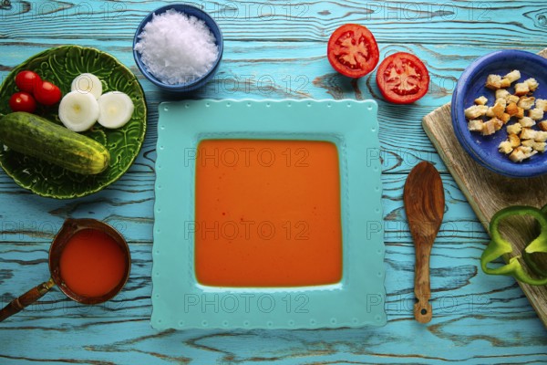 Gazpacho andaluz is a fresh tomato soup and vegetables of Andalusian Spain