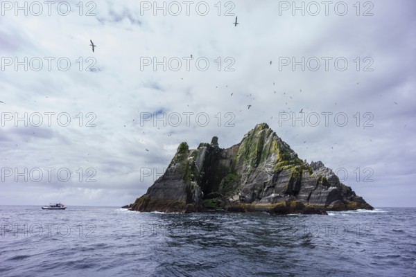 Sceilg Bheag, Skellig Rock Small, Ireland, United Kingdom
