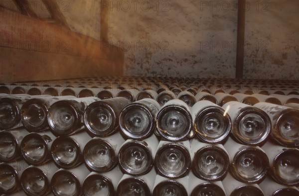 Wine growing in Chile has a long tradition. The country's unique climatic conditions, with warm temperatures during the day and summer nights of sometimes less than 10 degrees Celsius, provide ideal growing conditions for powerful complex wines. Already the Spanish conquerors brought winegrowing to South America. The first vines were planted in Chile in the middle of the 16th century.