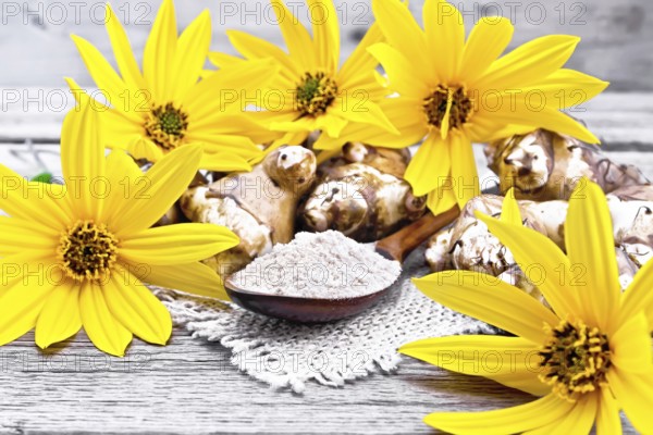 Jerusalem artichoke flour in a spoon on a burlap with flowers and vegetables on wooden board background