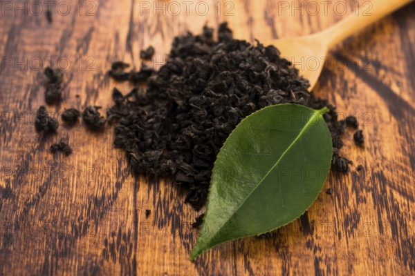 Dry tea and green leaves