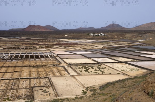 Salt is an important export for Lanzarote