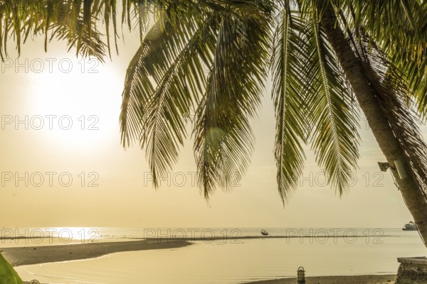 Koh samui