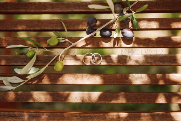 Top view of gold wedding rings on wooden planks with a sprig of olive tree with fruits in sunlight.