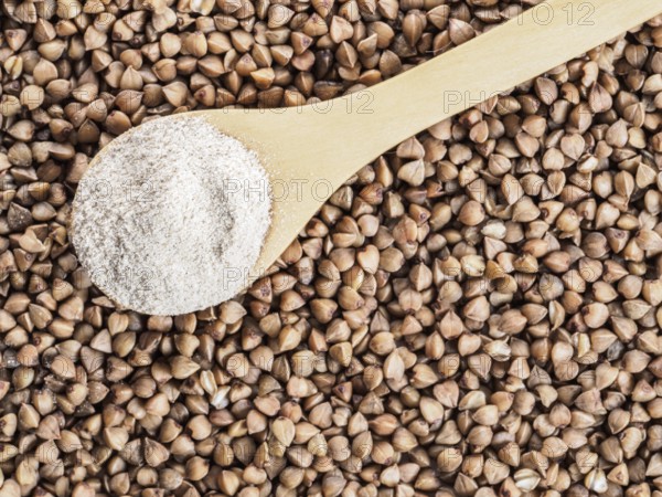 Buckwheat flour in wooden spoon and buckwheat grains. Whole-grain buckwheat flour on buckwheat grains background. Copy space. Top view or flat lay