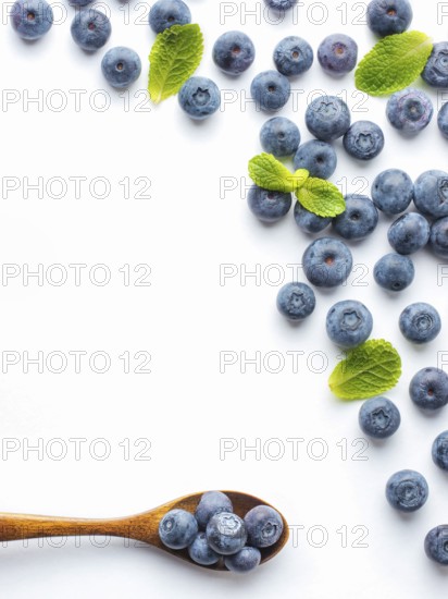 Blueberries isolated on white background. Blueberry border design. Ripe and juicy fresh picked bilberries close up. Copyspace. Top view or flat lay
