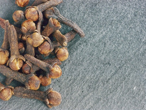Cloves spice on gray slate background with copy space. Isolated one edge. Top view or flat lay