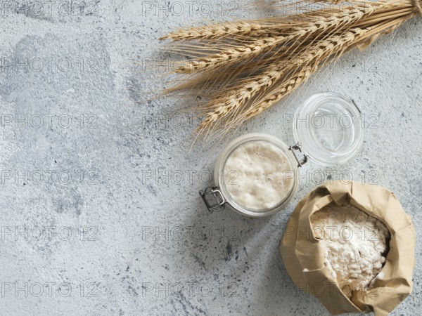 Wheat sourdough starter. Top view of bread making ingredients - glass jar with sourdough starter, flour in paper bag and ears over gray cement background. Copy space for text or design