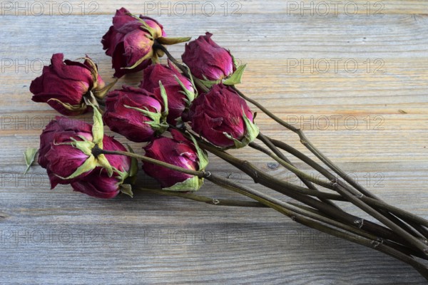 Bouquet of withered roses on a wooden background