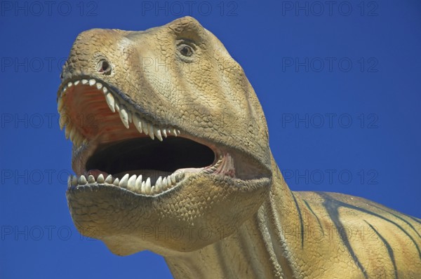 Germany, Hesse, Frankfurt/Main, Senckenberg Museum, Tyrannosaurus Rex, Frankfurt/Main, Hesse, Germany