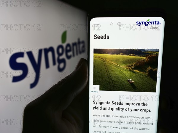 Stuttgart, Germany, 06-24-2024: Person holding cellphone with webpage of Swiss agritech company Syngenta Crop Protection AG in front of logo. Focus on center of phone display