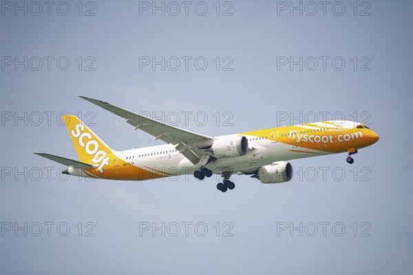 30.07.2023, Singapore, Republic of Singapore, Asia, A Scoot Airlines passenger aircraft of the type Boeing 787-9 Dreamliner with the registration 9V-OJA approaching Changi International Airport. Scoot is a low-cost airline from Singapore and a subsidiary of Singapore Airlines