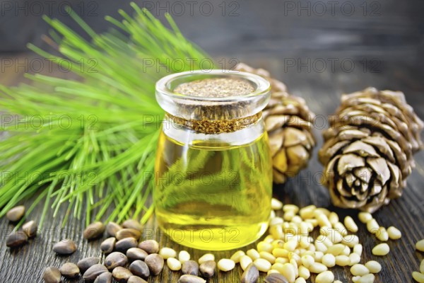 Cedar oil in a glass jar, two cedar cones, nuts and green twigs on a dark wooden board background
