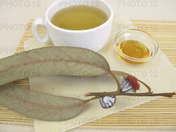 Eucalyptus tea with honey